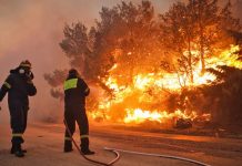 Πυροσβεστική: 163 συλλήψεις για εμπρησμούς από την αρχή της αντιπυρικής περιόδου