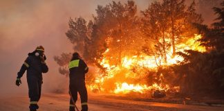 Πυροσβεστική: 163 συλλήψεις για εμπρησμούς από την αρχή της αντιπυρικής περιόδου