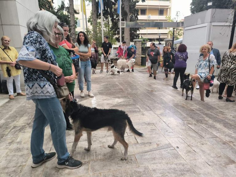 Ολοκληρώθηκε με τεράστια επιτυχία το 1ο ΦΕΣΤΙΒΑΛ ΦΙΛΟΖΩΙΑΣ Νέας Φιλαδέλφειας – Νέας Χαλκηδόνας
