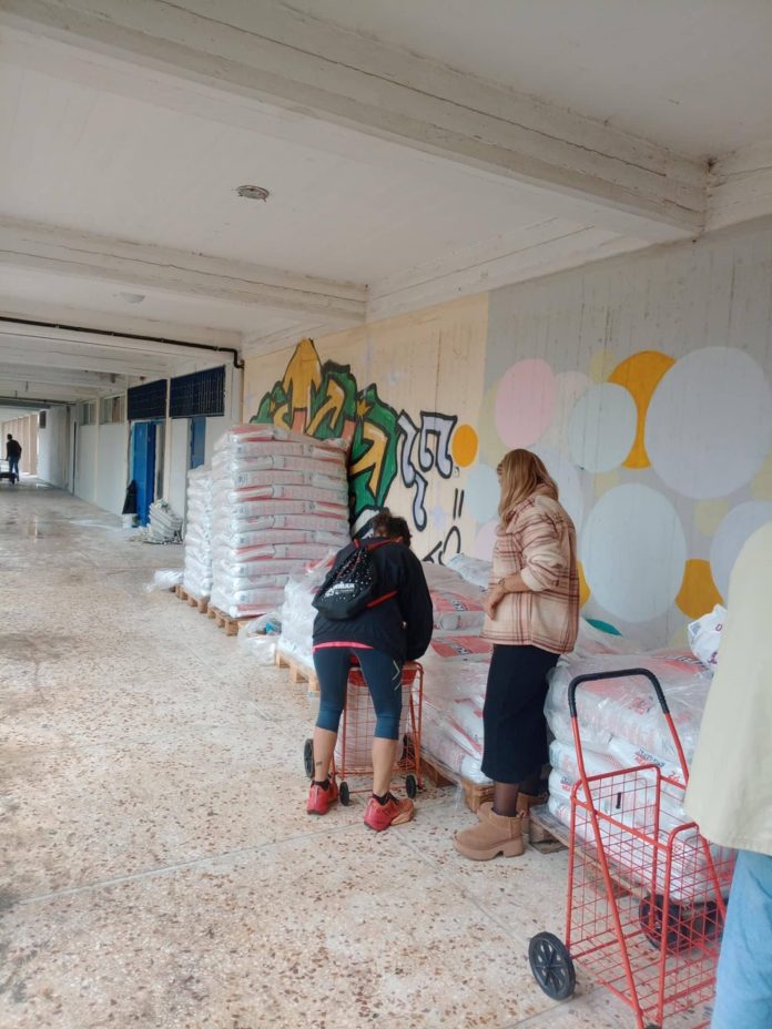 alt= διανομή γατοτροφών από τον Δήμο Νέας Φιλαδέλφειας