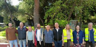 Δενδροφύτευση στην οδό Πίνδου: Η δέσμευση του Δήμου Νέας Φιλαδέλφειας – Νέας Χαλκηδόνας έγινε πράξη