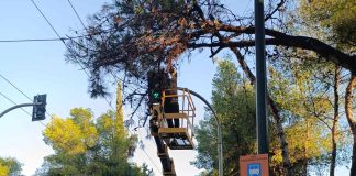 Νέα Φιλαδέλφεια: Πώς ο Δήμος αντιμετώπισε τα έντονα καιρικά φαινόμενα των τελευταίων ημερών