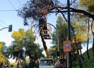 Νέα Φιλαδέλφεια: Πώς ο Δήμος αντιμετώπισε τα έντονα καιρικά φαινόμενα των τελευταίων ημερών