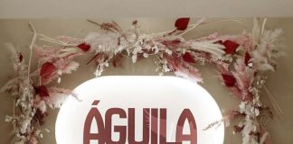 Πρoστατευμένο: Aguila Νέας Φιλαδέλφειας – Η νέα χριστουγεννιάτικη διακόσμηση & το εντυπωσιακό rooftop που ξεχωρίζουν