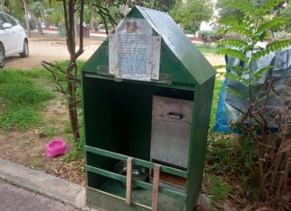 Σοκ: Μαζική δηλητηρίαση γατών στη Νέα Φιλαδέλφεια