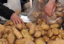 Δωρεάν πατάτες από τον Δήμο Νέας Φιλαδέλφειας – Νέα διανομή τη Δευτέρα 8 Δεκεμβρίου