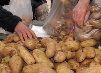 Νέα δωρεάν διανομή πατάτας από τον Δήμο Νέας Φιλαδέλφειας – Νέας Χαλκηδόνας τη Δευτέρα 12 Ιανουαρίου