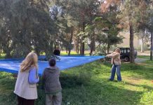 Επιτυχής διάσωση δύο γατών στο Άλσος Νέας Φιλαδέλφειας – Άμεση κινητοποίηση από Δήμο και εθελοντές