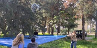 Επιτυχής διάσωση δύο γατών στο Άλσος Νέας Φιλαδέλφειας – Άμεση κινητοποίηση από Δήμο και εθελοντές