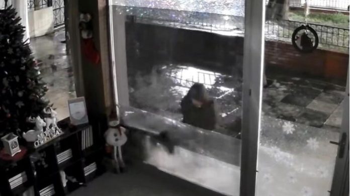 alt= Ανατριχιαστική καταγγελία στη Νέα Φιλαδέλφεια: Άνδρας αρπάζει αδέσποτες γάτες – Έρευνα της αστυνομίας