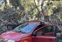 Συναγερμός στο Ηράκλειο Αττικής: Δέντρο καταπλάκωσε όχημα – Κίνδυνος ηλεκτροπληξίας λόγω κακοκαιρίας