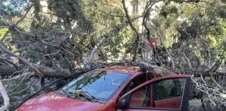 Συναγερμός στο Ηράκλειο Αττικής: Δέντρο καταπλάκωσε όχημα – Κίνδυνος ηλεκτροπληξίας λόγω κακοκαιρίας