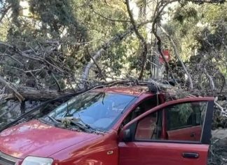 Συναγερμός στο Ηράκλειο Αττικής: Δέντρο καταπλάκωσε όχημα – Κίνδυνος ηλεκτροπληξίας λόγω κακοκαιρίας