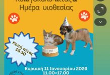 Κοπή της σκυλοπίτας την Κυριακή 11 Ιανουαρίου – Γιορτή αγάπης & υιοθεσίας για τα αδέσποτα