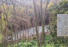 Κηφισός σε ασφυξία: Μαζική ρύπανση, μηδενικό οξυγόνο και σοβαρές καταγγελίες στη Νέα Φιλαδέλφεια