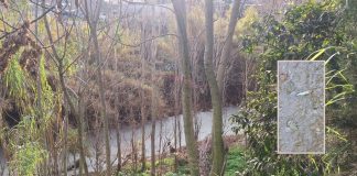 Κηφισός σε ασφυξία: Μαζική ρύπανση, μηδενικό οξυγόνο και σοβαρές καταγγελίες στη Νέα Φιλαδέλφεια