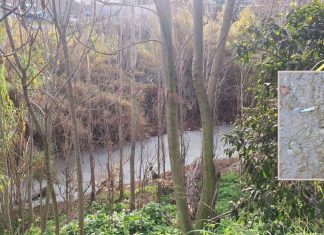 Κηφισός σε ασφυξία: Μαζική ρύπανση, μηδενικό οξυγόνο και σοβαρές καταγγελίες στη Νέα Φιλαδέλφεια