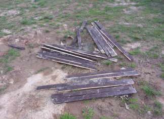 Νέα Χαλκηδόνα: Βανδαλισμός στο Πάρκο Αποστολάκη μία μέρα πριν τις αποκριάτικες εκδηλώσεις – Δείτε την ανακοίνωση του Δήμου