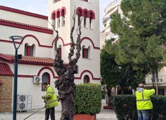 Νέα Φιλαδέλφεια – Χαλκηδόνα: Δράσεις καλλωπισμού σε Δεκελείας, Παναγίτσα και Μεσαίο Κουκλάκι (ΦΩΤΟ)