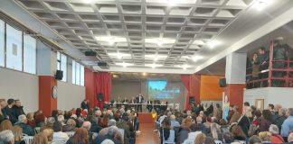 Κόκκινος Μύλος: Μαζική αντίδραση για τα 139 πεύκα – Πίεση και επανεξέταση από τον Δήμο Αχαρνών