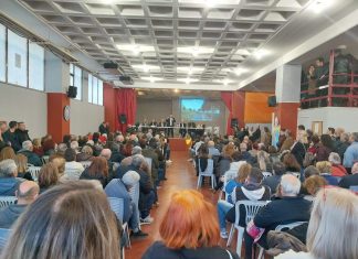 Κόκκινος Μύλος: Μαζική αντίδραση για τα 139 πεύκα – Πίεση και επανεξέταση από τον Δήμο Αχαρνών