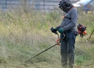 Υποχρεωτικός καθαρισμός οικοπέδων στη Νέα Φιλαδέλφεια – Προθεσμίες, πρόστιμα και οδηγίες