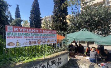 Νέα Φιλαδέλφεια: Ο κόσμος στήριξε δυναμικά το Φεστιβάλ Αγροτικών Προϊόντων – Δείτε εικόνες και βίντεο