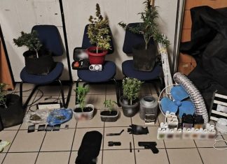 Νέα Χαλκηδόνα: Εντοπίστηκε πλήρως εξοπλισμένο εργαστήριο κάνναβης – Σύλληψη 42χρονου
