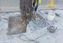 «Δεν πάει άλλο»: Η αντίδραση κατοίκων για το πράσινο στον Κόκκινο Μύλο