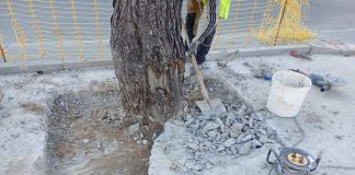 «Δεν πάει άλλο»: Η αντίδραση κατοίκων για το πράσινο στον Κόκκινο Μύλο