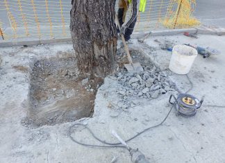 «Δεν πάει άλλο»: Η αντίδραση κατοίκων για το πράσινο στον Κόκκινο Μύλο