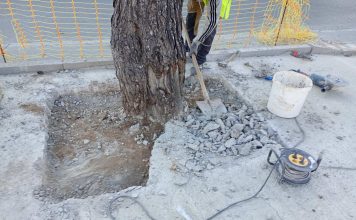 «Δεν πάει άλλο»: Η αντίδραση κατοίκων για το πράσινο στον Κόκκινο Μύλο