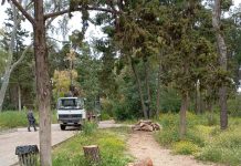 Καθαρισμοί και κοπή δέντρων στη Σήμερα 16/04/2026 στη Νέα Φιλαδέλφεια
