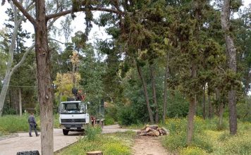 Καθαρισμοί και κοπή δέντρων στη Σήμερα 16/04/2026 στη Νέα Φιλαδέλφεια