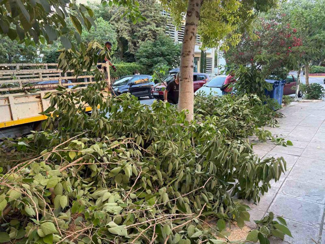 Νέα Φιλαδέλφεια: Άμεση επέμβαση μετά από πτώση δέντρου στην οδό Νίκου Τρυπιά