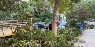 Νέα Φιλαδέλφεια: Άμεση επέμβαση μετά από πτώση δέντρου στην οδό Νίκου Τρυπιά Νέα Φιλαδέλφεια: Άμεση επέμβαση μετά από πτώση δέντρου στην οδό Νίκου Τρυπιά