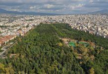 Ο Δήμος Νέας Φιλαδέλφειας και ο Γιάννης Τομπούλογλου εξασφαλίσε χρηματοδότηση 6,08 εκατ. ευρώ για την ανάπλαση του Άλσους Νέα Φιλαδέλφεια: Εξασφαλίστηκε χρηματοδότηση 6,08 εκατ. ευρώ για την ανάπλαση του Άλσους