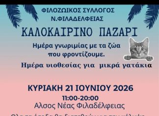 Καλοκαιρινό Παζάρι Αγάπης στη Νέα Φιλαδέλφεια για τη στήριξη των αδέσποτων ζώων Καλοκαιρινό Παζάρι Αγάπης στη Νέα Φιλαδέλφεια για τη στήριξη των αδέσποτων ζώων
