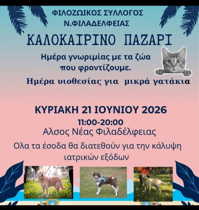 Καλοκαιρινό Παζάρι Αγάπης στη Νέα Φιλαδέλφεια για τη στήριξη των αδέσποτων ζώων
