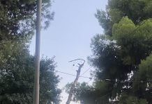 Νέα Φιλαδέλφεια: Μεγάλο δέντρο συγκρατήθηκε στα καλώδια του τρόλεϊ και δεν έπεσε στον δρόμο Νέα Φιλαδέλφεια: Πτώση δέντρου στα καλώδια του τρόλεϊ