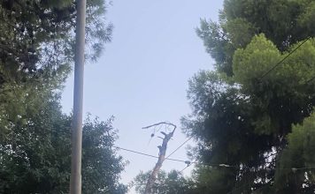 Νέα Φιλαδέλφεια: Μεγάλο δέντρο συγκρατήθηκε στα καλώδια του τρόλεϊ και δεν έπεσε στον δρόμο Νέα Φιλαδέλφεια: Πτώση δέντρου στα καλώδια του τρόλεϊ