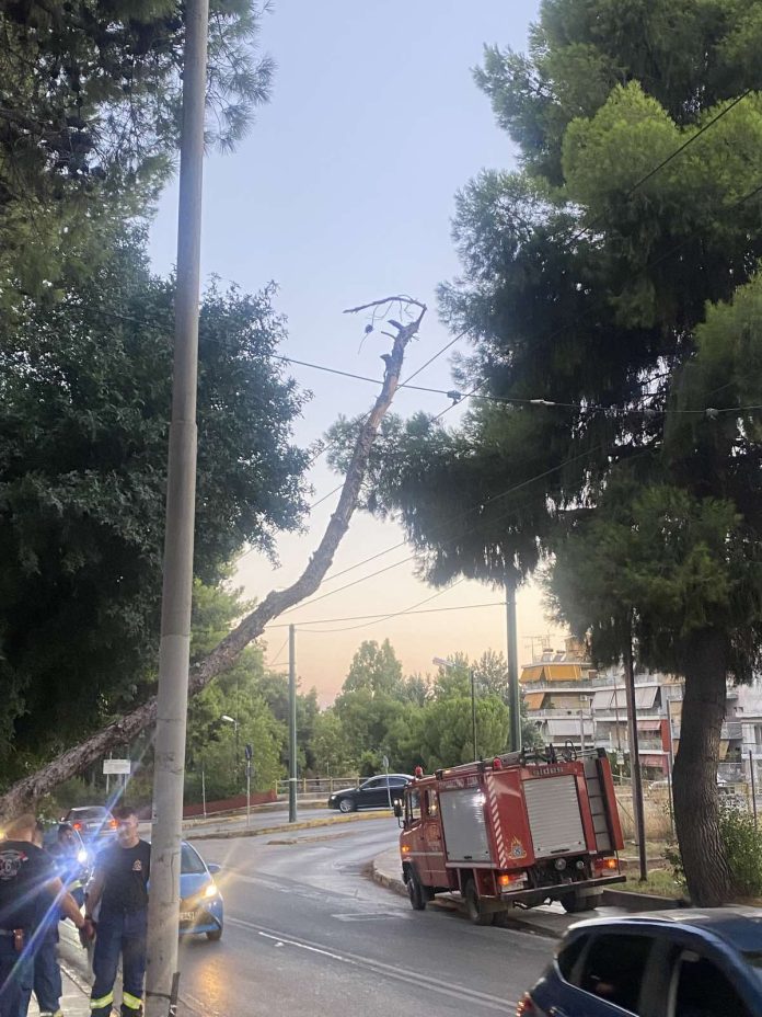 Νέα Φιλαδέλφεια: Πτώση δέντρου στα καλώδια του τρόλεϊ