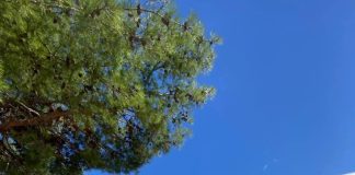 Νέα Φιλαδέλφεια: Προχωρά η ανέγερση του νέου «Κένταυρου» – Δείτε εικόνες Νέα Φιλαδέλφεια: Προχωρά η ανέγερση του νέου «Κένταυρου»