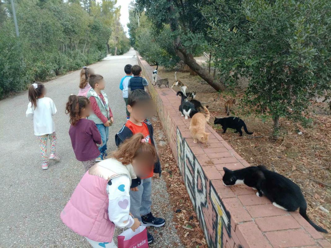 Νέα Φιλαδέλφεια: Δράση φιλοζωίας στο Νηπιαγωγείο της Σχολής Χατζήβεη