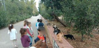 Νέα Φιλαδέλφεια: Δράση φιλοζωίας στο Νηπιαγωγείο της Σχολής Χατζήβεη Νέα Φιλαδέλφεια: Δράση φιλοζωίας στο Νηπιαγωγείο της Σχολής Χατζήβεη
